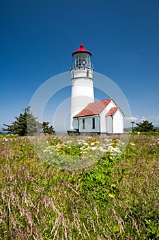 Cape Blanco Lighthouse with native flowers photo