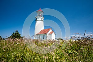 Cape Blanco Lighthouse with native grasses