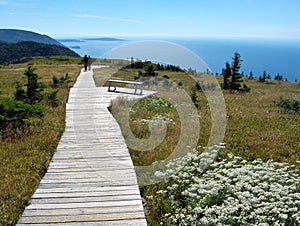 Cape Breton scenic trail with coastline view photo