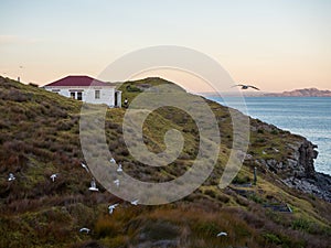 Cape Brett Lighthouse and Cape Brett Hut in Rawhiti New Zealand