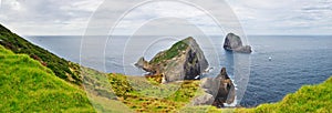 Cape Brett, New Zealand. Beautiful landscape with green peninsula and the ocean in the background.