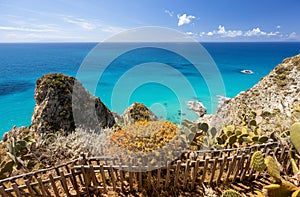 Cape Capo Vaticano Ricadi in Italy, Calabria - amazing colors of sea, blue sky with white clouds background and cactus plants