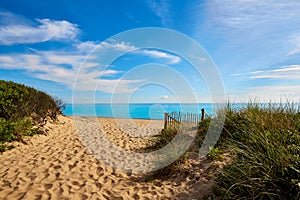 Cape Cod Herring Cove Beach Massachusetts US