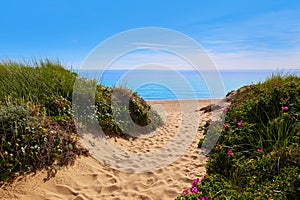 Cape Cod Herring Cove Beach Massachusetts US