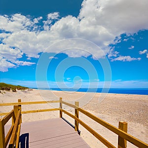 Cape Cod Sandy Neck Beach Massachusetts US