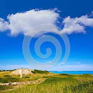 Cape Cod Sandy Neck Beach Massachusetts US