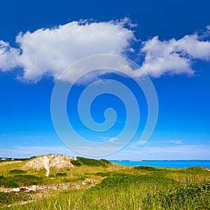 Cape Cod Sandy Neck Beach Massachusetts US