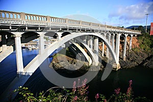 Cape Creek Bridge Lane County Oregon