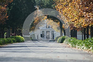 Cape dutch house in the winelands