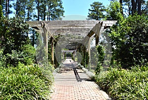 Cape Fear Botanical Garden, Fayetteville, NC