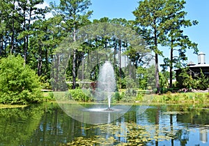 Cape Fear Botanical Garden, Fayetteville, NC