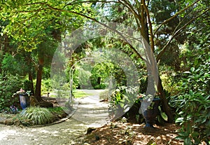 Cape Fear Botanical Garden, Fayetteville, NC