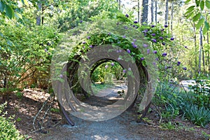 Cape Fear Botanical Garden, Fayetteville, NC