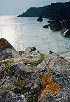 Kynance Cove Cliffs and Cape Fig