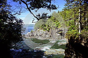 Cape Flattery