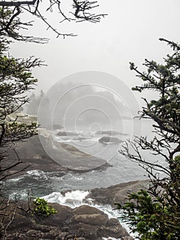 Cape Flattery in the fog