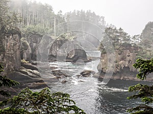 Cape Flattery in the fog