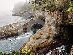 Cape Flattery in the fog