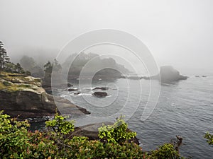 Cape Flattery in the fog