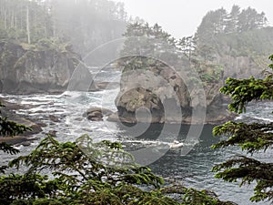 Cape Flattery in the fog