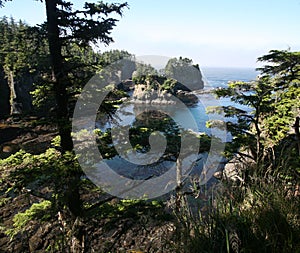 Cape Flattery in Olympic national park
