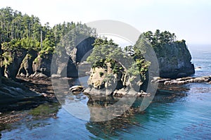 Cape Flattery in Olympic national park