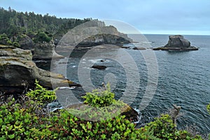 Cape Flattery on the Olympic Peninsula, West Coast, Pacific Northwest, Washington State