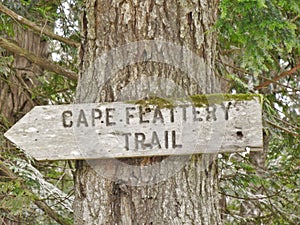 Cape Flattery Trail