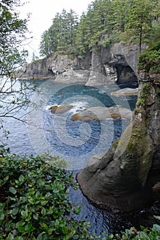 Cape Flattery View