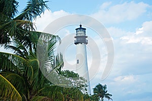 Cape Florida Lighthouse, beach, vegetation, Bill Baggs Cape Florida State Park, protected area, palms, Key Biscayne