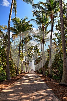 Cape Florida Lighthouse at Bill Baggs Cape Florida State Park