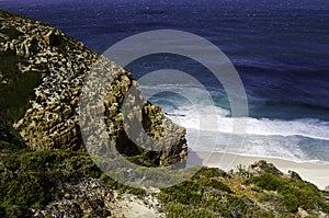 Cape of good hope in south africa