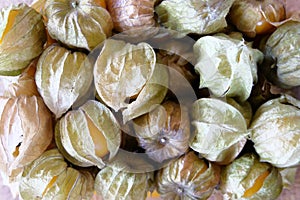 Cape gooseberry fruit benefit