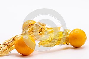 Cape gooseberry fruits Physalis peruvianaisolated on white background.Commonly called goldenberry, golden berry, Pichuberry.