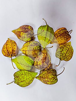 Cape gooseberry or goldenberry