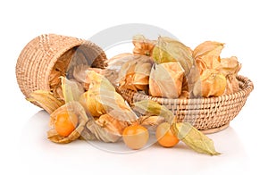 Cape gooseberry (physalis) in basket isolated on white background