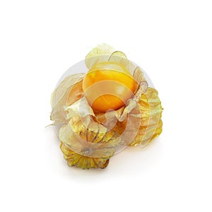 Cape Gooseberry, Physalis fruit or golden berry isolated over white background