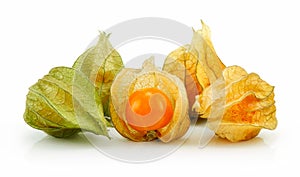 Cape Gooseberry (Physalis) Isolated