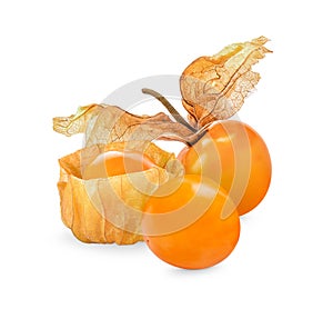 Cape gooseberry, physalis isolated on white background