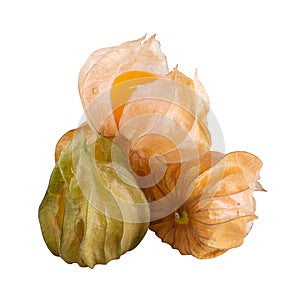 Cape gooseberry, physalis isolated on white background