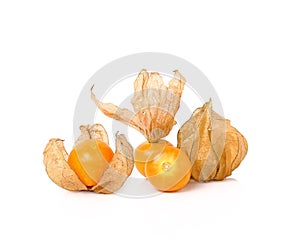 Cape gooseberry (physalis) isolated on white background