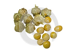 Cape gooseberry physalis isolated on white background