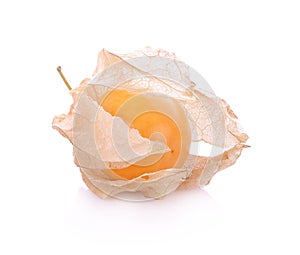 Cape gooseberry physalis isolated on white background