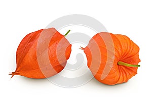Cape gooseberry, physalis isolated on white background with full depth of field