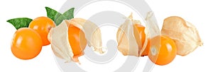 Cape gooseberry or physalis isolated on white background wit full depth of field