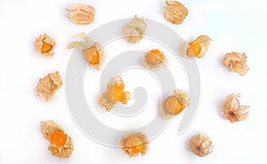 Cape Gooseberry Physalis peruviana fruit scattered on a white background