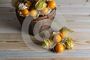 Cape gooseberry