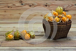 Cape gooseberry