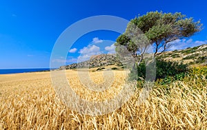 Cape greco view 1 photo