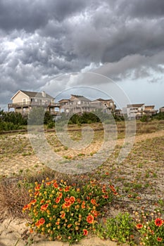 Cape Hatteras dramatic sky with flowers in front